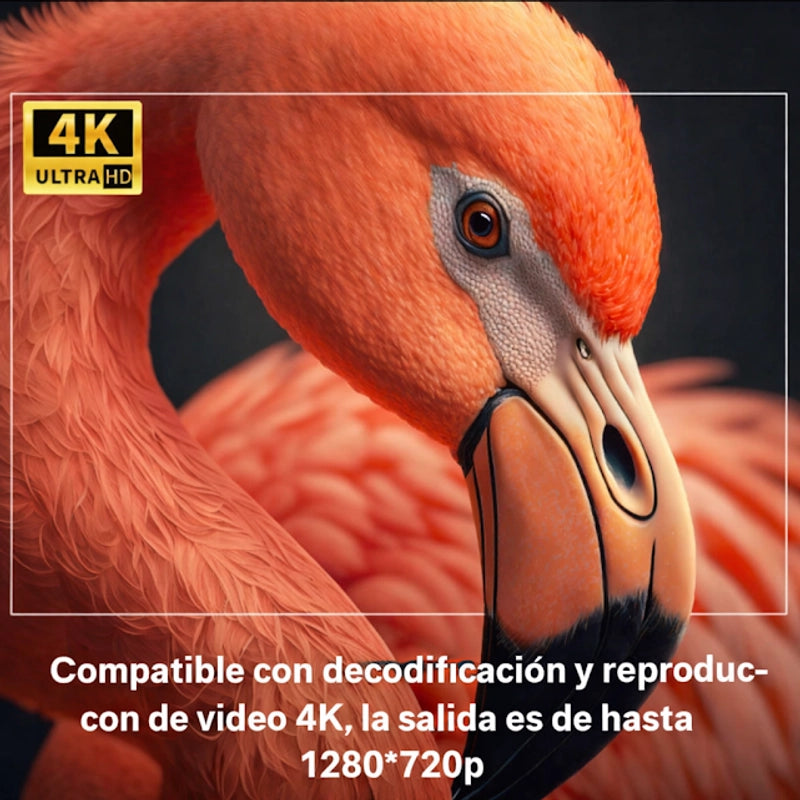https://cdn.dropmagic.ai/medias/b59e6d8d-22d8-4d89-b22a-f93939d33656.webp